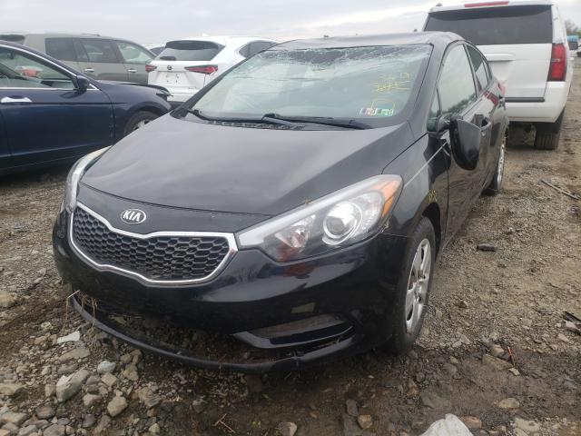 VIN 2T3RFREV2GW525937 2016 Toyota RAV4, Xle no.2