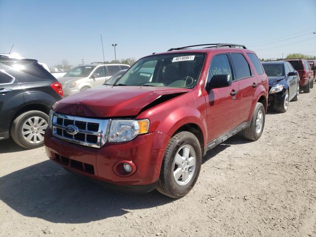 2011 FORD ESCAPE XLT 1FMCU9D79BKA05262