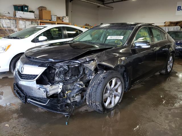 2013 ACURA TL 19UUA8F2XDA013622