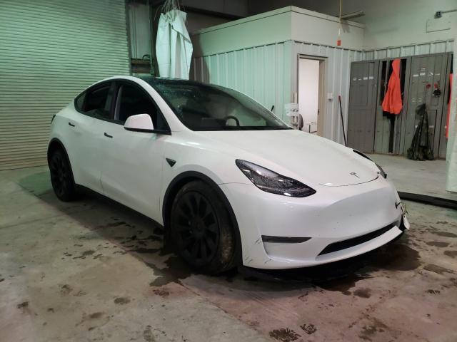 2021 Tesla Model Y  (VIN: 5YJYGDEE7MF123800)
