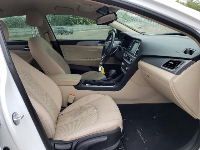 2019 HYUNDAI SONATA LIM 5NPE34AF8KH771206