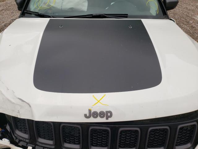 2020 JEEP COMPASS TR 3C4NJDDB9LT255226