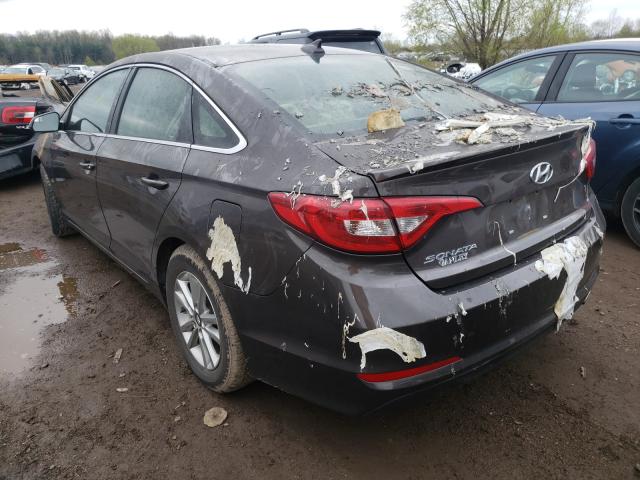 5NPE24AF9FH023430 Hyundai Sonata Se 2015. Фото: 2