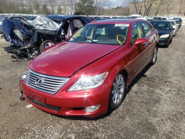 2010 LEXUS LS 460 JTHCL5EF7A5007528