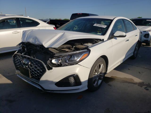 2019 HYUNDAI SONATA LIM 5NPE34AF7KH778163