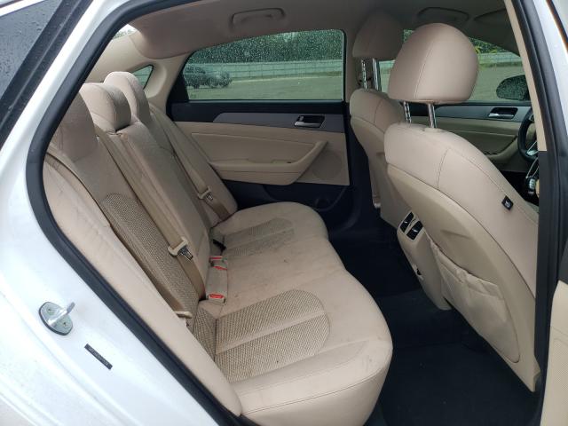 2019 HYUNDAI SONATA LIM 5NPE34AF8KH771206