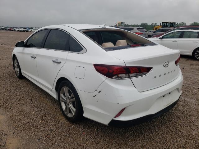 2019 HYUNDAI SONATA LIM 5NPE34AF8KH771206