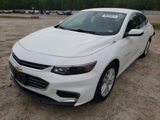 VIN KNAGM4AD8G5095087 2016 KIA Optima, Hybrid no.2