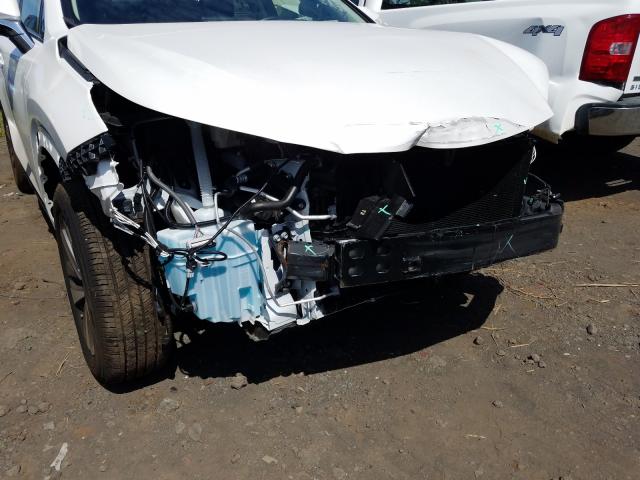 2019 LEXUS NX 300 BAS JTJYARBZ4K2120503