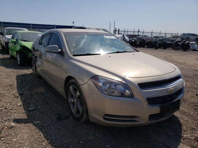 2011 CHEVROLET MALIBU 1LT 1G1ZC5E17BF266153