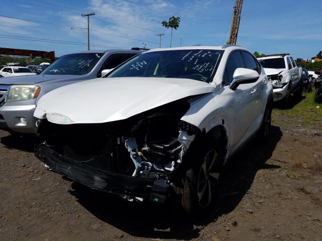 2019 LEXUS NX 300 BAS JTJYARBZ4K2120503