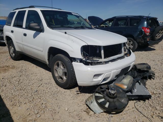 2007 Chevrolet TrailBlazer LS