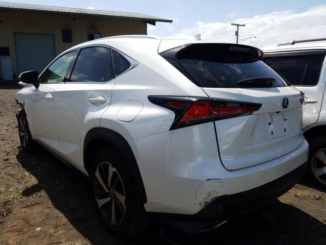 2019 LEXUS NX 300 BAS JTJYARBZ4K2120503