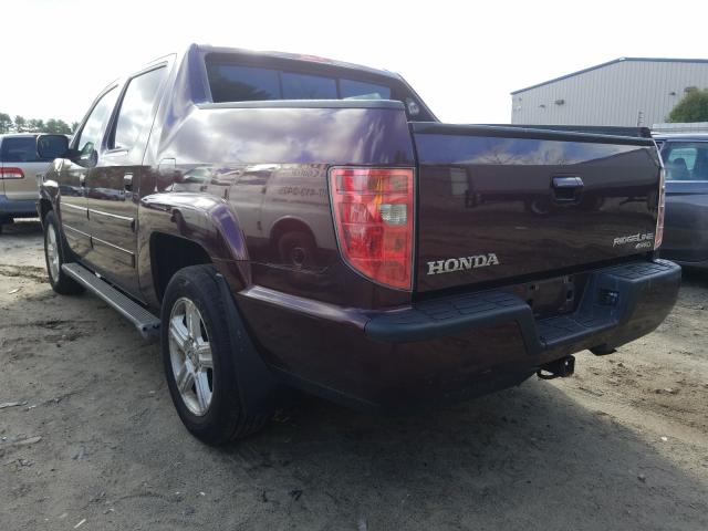 2010 HONDA RIDGELINE 5FPYK1F54AB011941