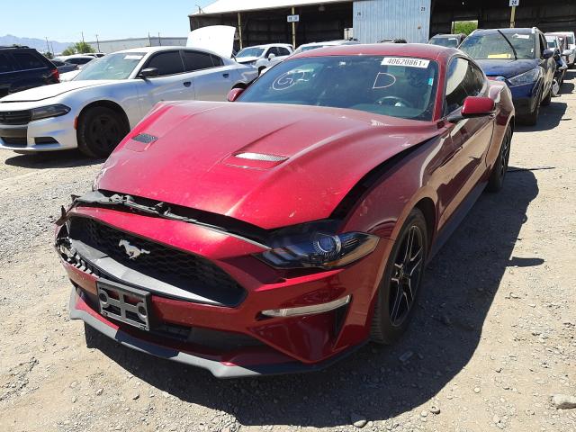 2019 FORD MUSTANG 1FA6P8TH2K5134591
