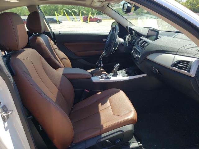 2014 BMW 228 I WBA1F5C50EVV99643