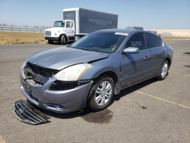 2010 NISSAN ALTIMA HYB 1N4CL2AP4AC117601