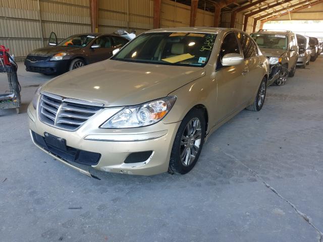 2011 HYUNDAI GENESIS 4. KMHGC4DF0BU119038