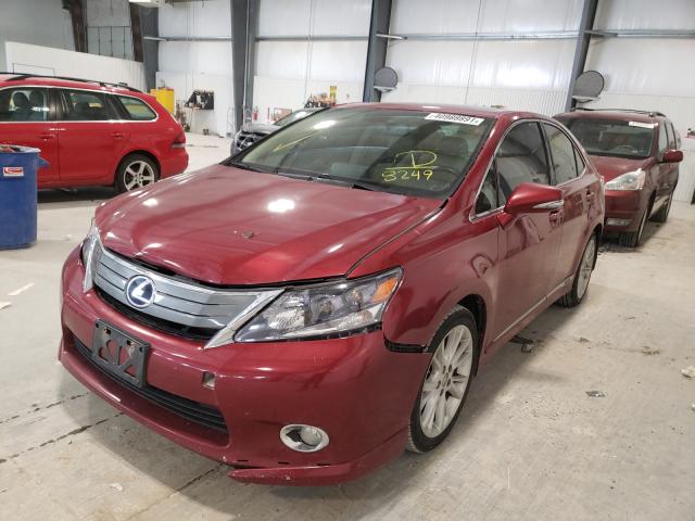 2010 LEXUS HS 250H JTHBB1BA6A2008249
