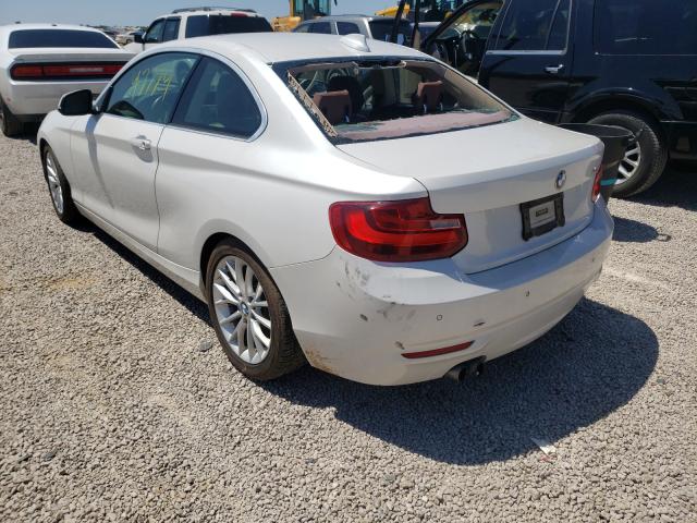 2014 BMW 228 I WBA1F5C50EVV99643
