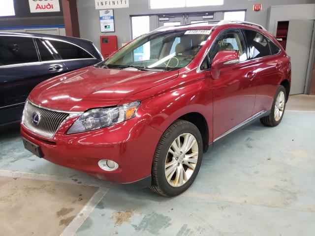 2011 LEXUS RX 450 JTJBC1BA5B2041000