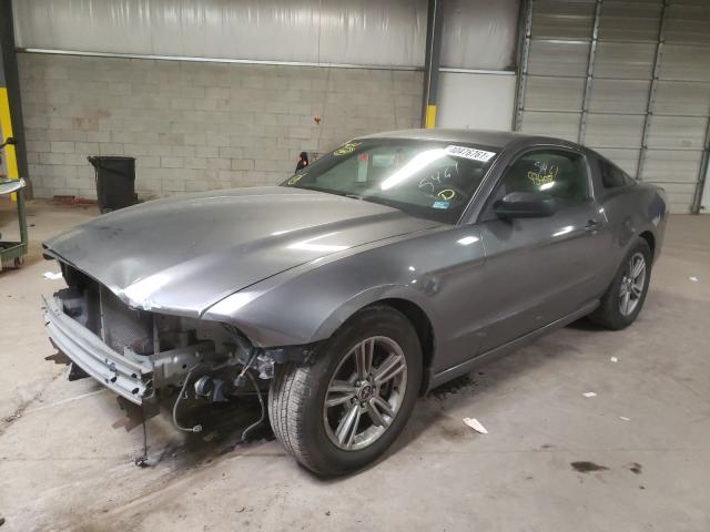 2014 FORD MUSTANG 1ZVBP8AM5E5256369