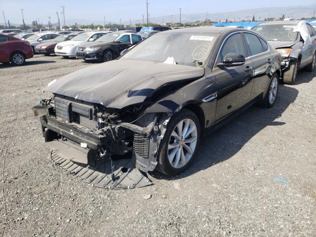 2019 JAGUAR XF PREMIUM SAJBJ4FX2KCY78971