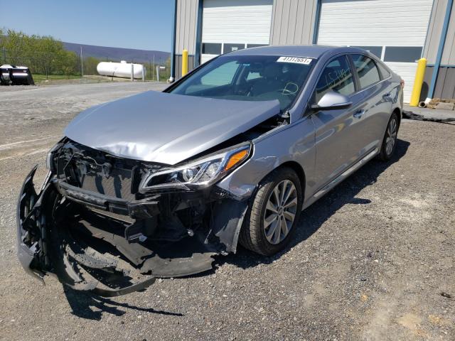 2016 HYUNDAI SONATA SPO 5NPE34AF8GH426507