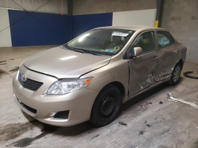 2010 TOYOTA CORROLA 2T1BU4EE7AC308380