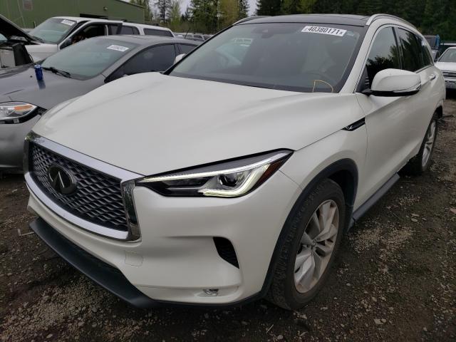 2019 INFINITI QX50 ESSEN 3PCAJ5M37KF121311