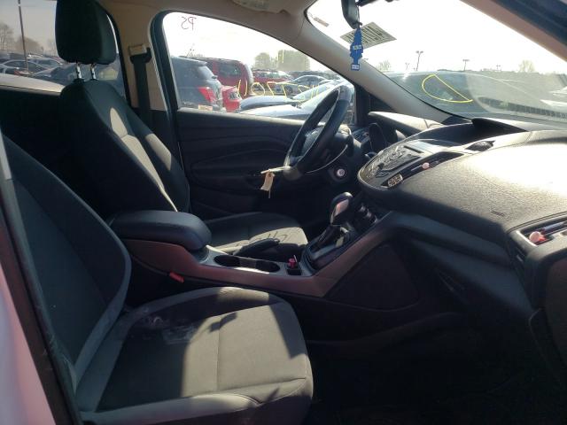 2013 FORD ESCAPE S 1FMCU0F75DUD57206