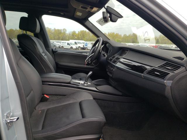 2010 BMW X5 M 5YMGY0C52ALK25218