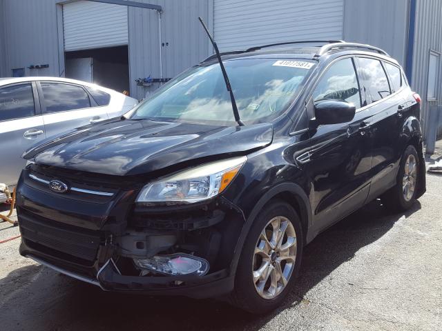 VIN 2C4RDGBG8DR782381 2013 FORD ESCAPE SE no.2