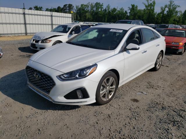 2019 HYUNDAI SONATA LIM 5NPE34AF0KH767750