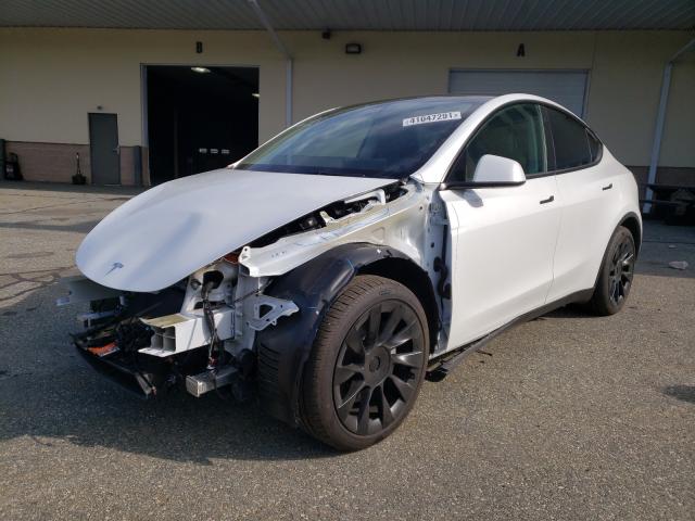 2021 TESLA MODEL Y 5YJYGDEE8MF143716
