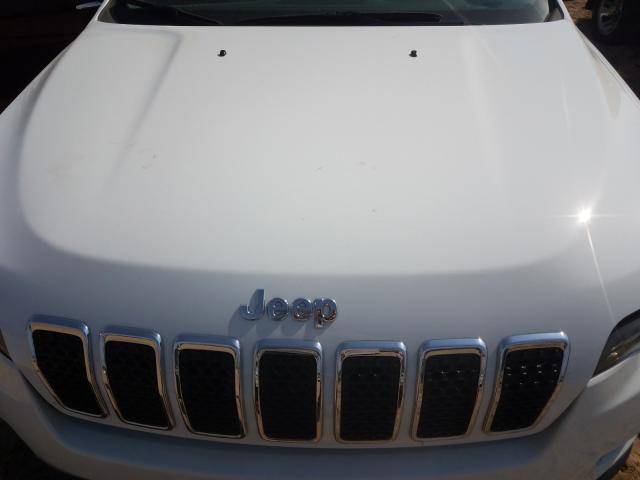 2019 JEEP CHEROKEE 1C4PJLCB6KD313401