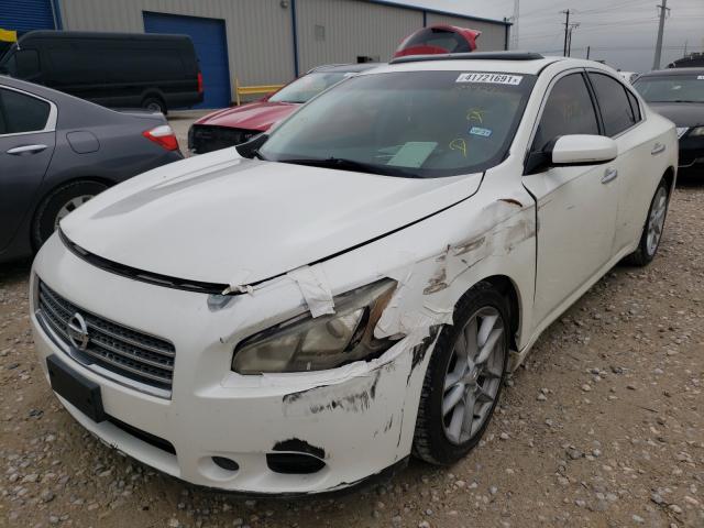2010 NISSAN MAXIMA 1N4AA5AP9AC839273
