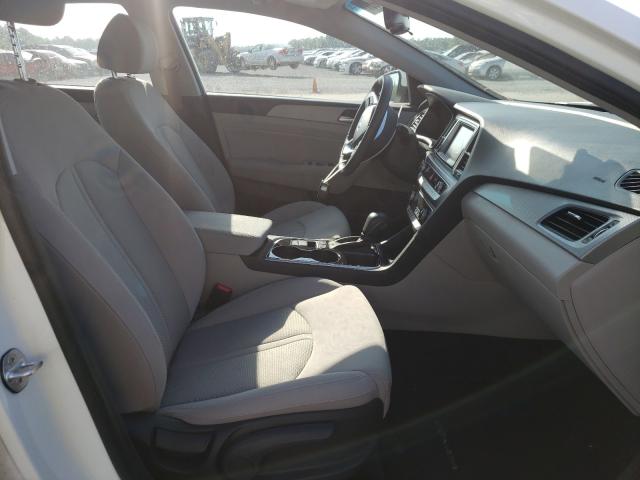 2019 HYUNDAI SONATA LIM 5NPE34AF0KH767750