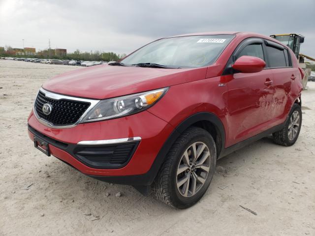 2015 KIA SPORTAGE L KNDPBCAC7F7700875
