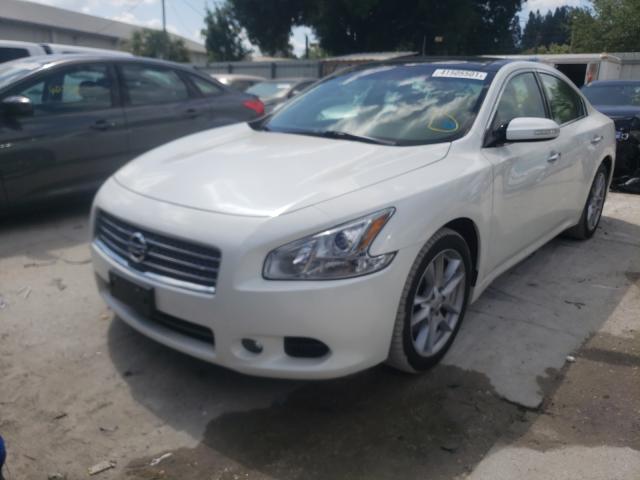 2010 NISSAN MAXIMA 1N4AA5AP2AC863897