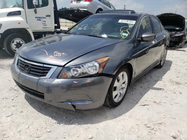 2010 HONDA ACCORD EXL 1HGCP2F83AA054231