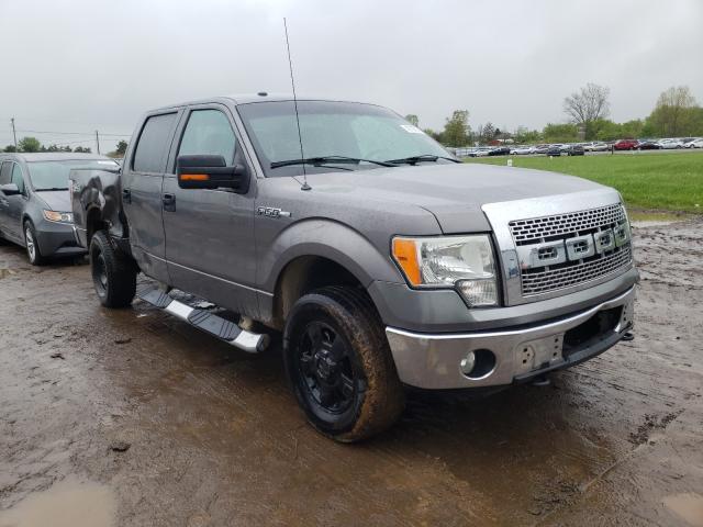 2010 FORD F150 SUPER 1FTEW1E87AFA63250