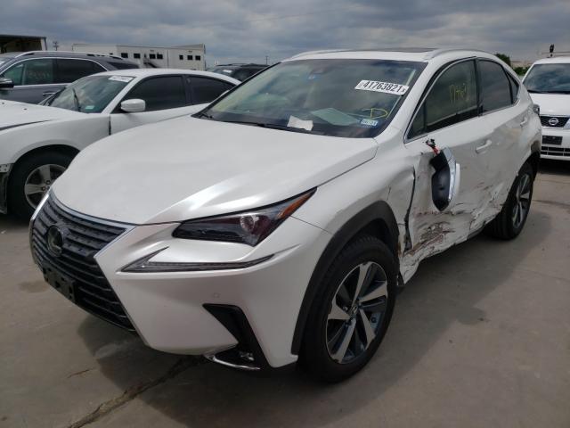 2019 LEXUS NX 300 BAS JTJYARBZ4K2157311
