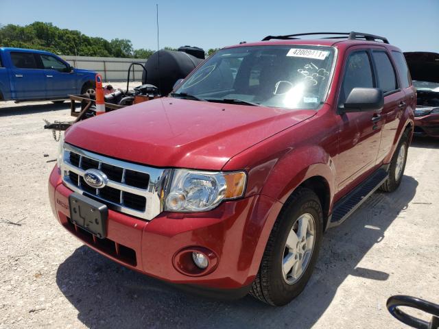 2010 FORD ESCAPE XLT 1FMCU0D70AKB91333