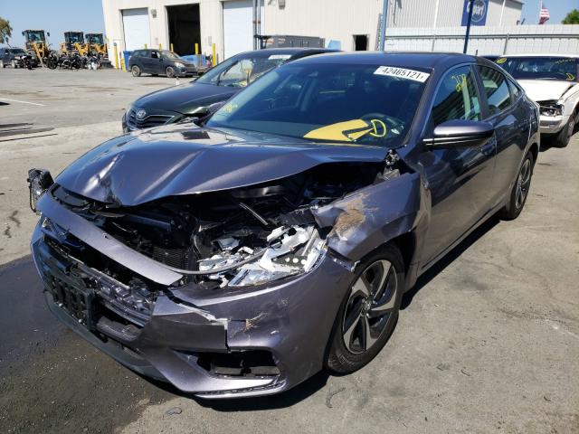 2021 HONDA INSIGHT EX 19XZE4F55ME006943
