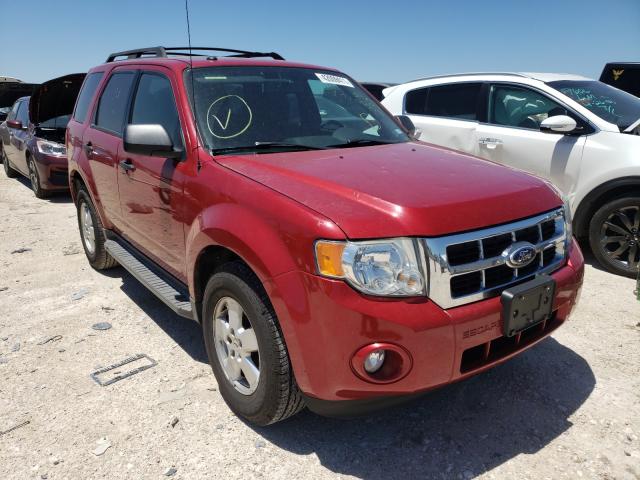 2010 FORD ESCAPE XLT 1FMCU0D70AKB91333