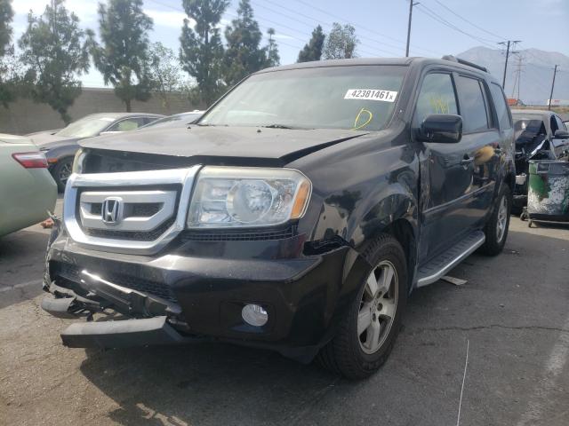 2011 HONDA PILOT EXL 5FNYF3H65BB043524