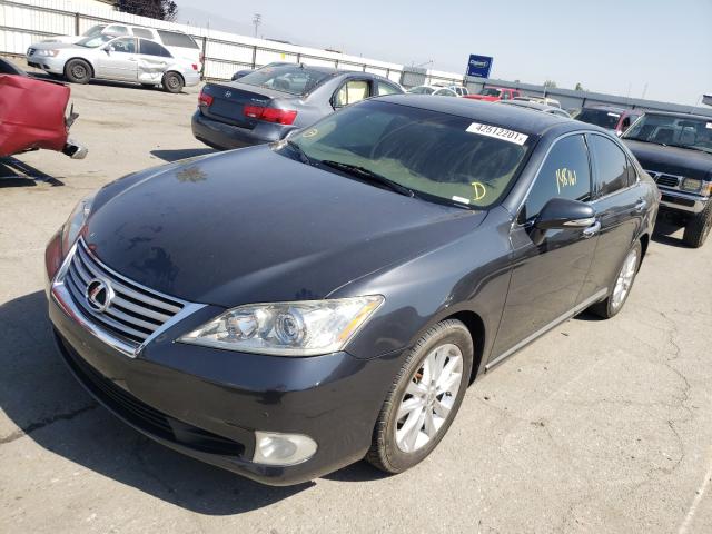 2010 LEXUS ES 350 JTHBK1EG2A2412276