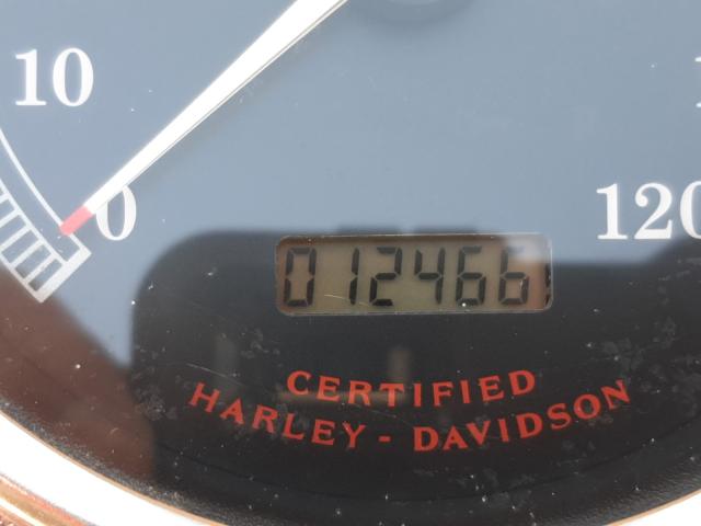 2002 HARLEY-DAVIDSON FXST 1HD1BHY192Y040042