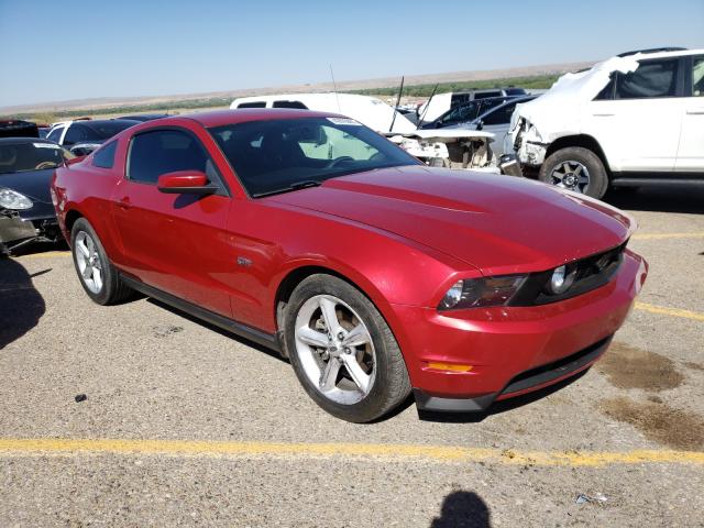 2010 FORD MUSTANG GT 1ZVBP8CH2A5127032